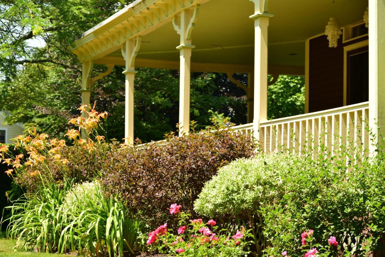 Ivy Lodge นิวพอร์ต ภายนอก รูปภาพ