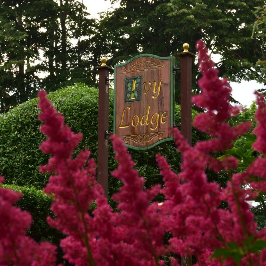Ivy Lodge นิวพอร์ต ภายนอก รูปภาพ